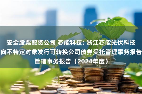 安全股票配资公司 芯能科技: 浙江芯能光伏科技股份有限公司向不特定对象发行可转换公司债券受托管理事务报告（2024年度）