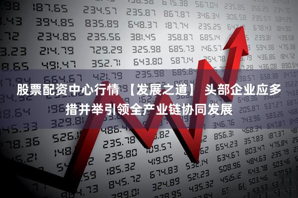 股票配资中心行情 【发展之道】 头部企业应多措并举引领全产业链协同发展