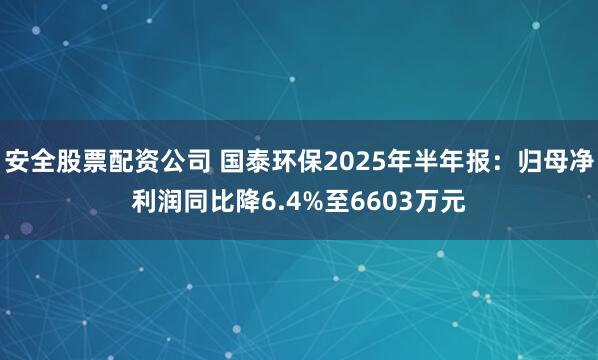 安全股票配资公司 国泰环保2025年半年报：归母净利润同比降6.4%至6603万元