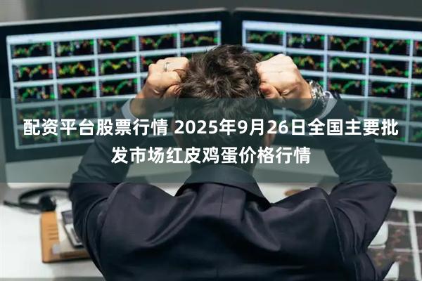 配资平台股票行情 2025年9月26日全国主要批发市场红皮鸡蛋价格行情